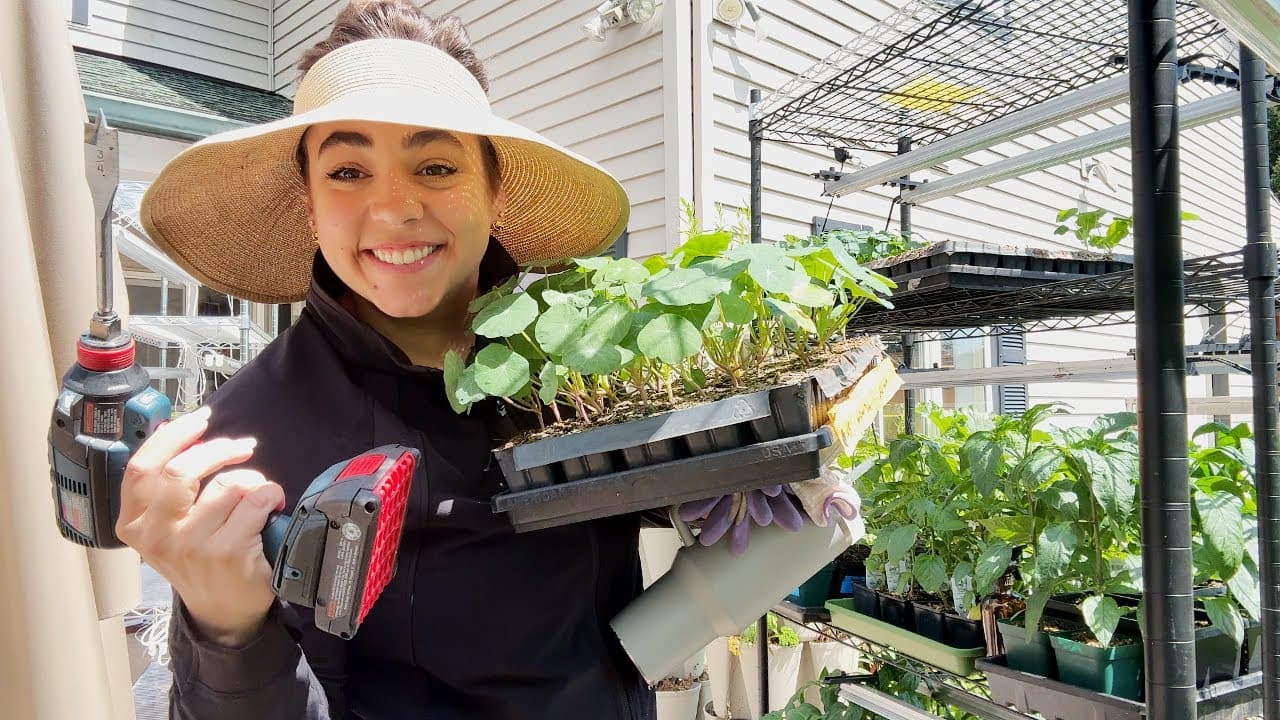 Cover Image for Youtube video: Picking up where we left off | A HUGE planting day!