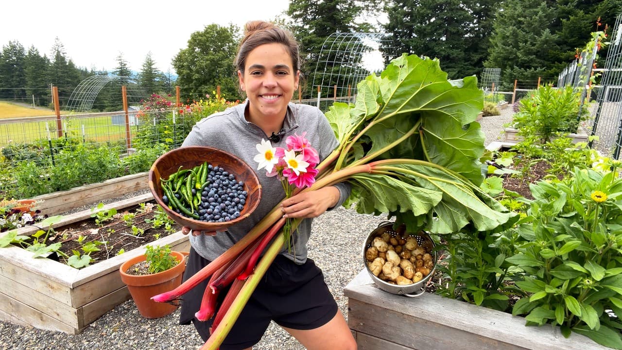Cover Image for Youtube video: What Started as a Garden Disaster Turned Into an Amazing Harvest