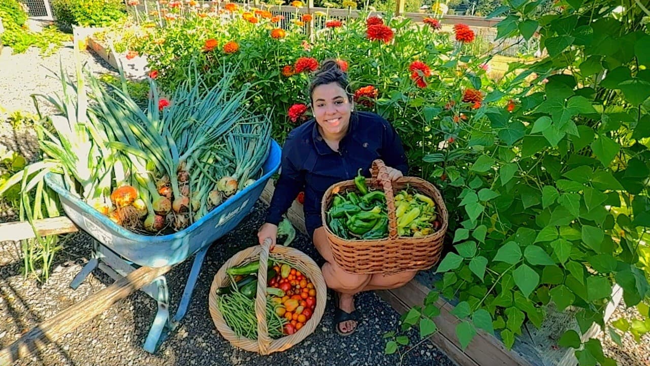 Cover Image for Youtube video: A Massive Garden Harvest!! Baby Chick and Chicken Coop Update!