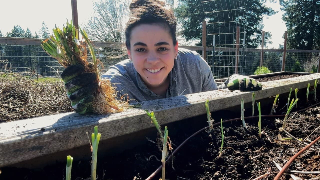 Cover Image for Youtube video: Plant Now and Eat all Winter!