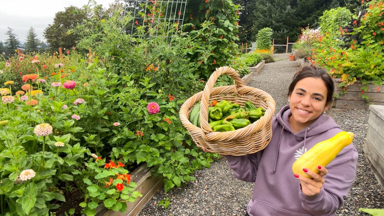 Cover Image for Youtube video: Late August Garden Tour: Massive Onions, Volunteer Potatoes & Fall Surprises