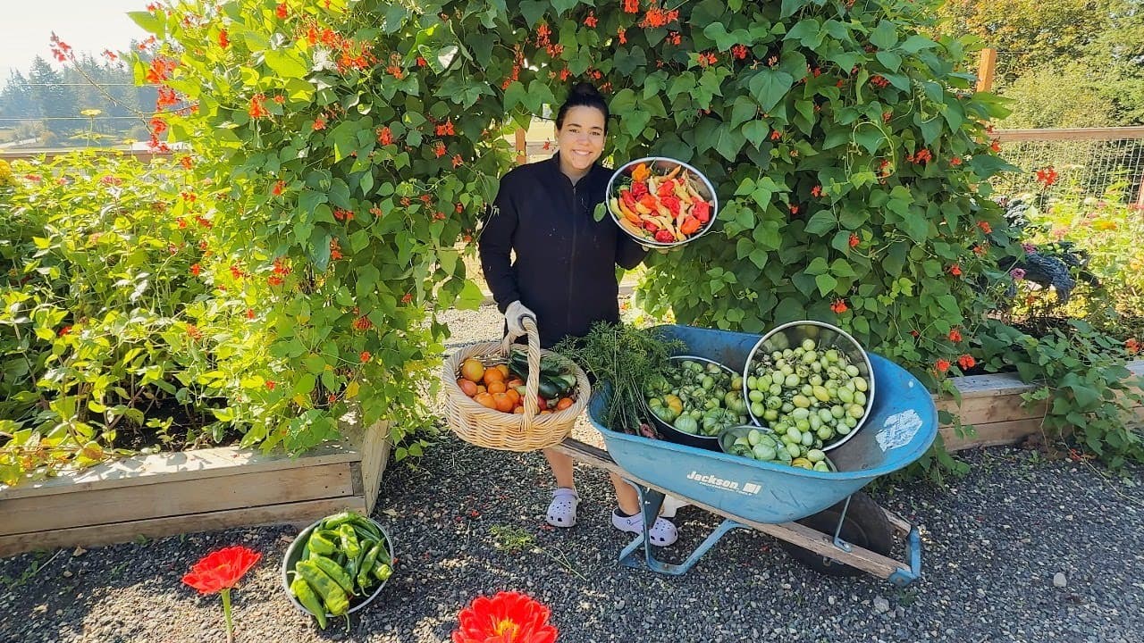 Cover Image for Youtube video: Saying Goodbye to One Season to Welcome in Another! Final Tomato and Pepper Harvest!