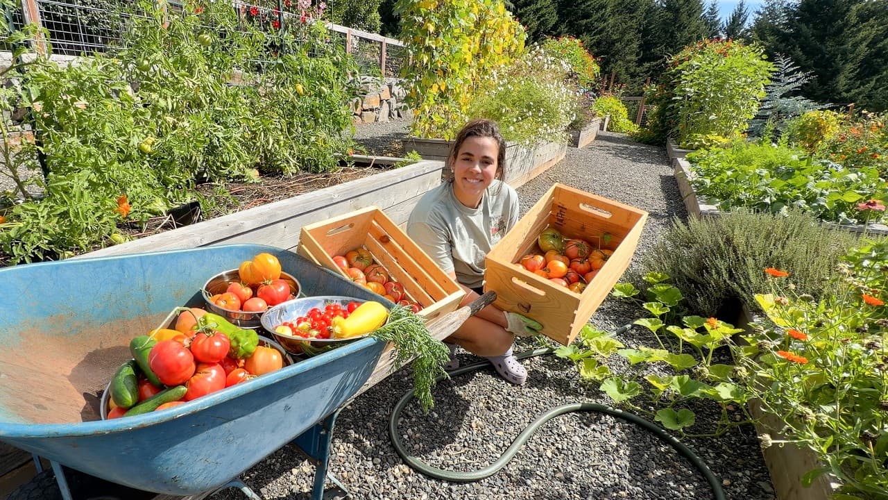 Cover Image for Youtube video: Finally Getting the Garden Under Control + French Toast for the Freezer!