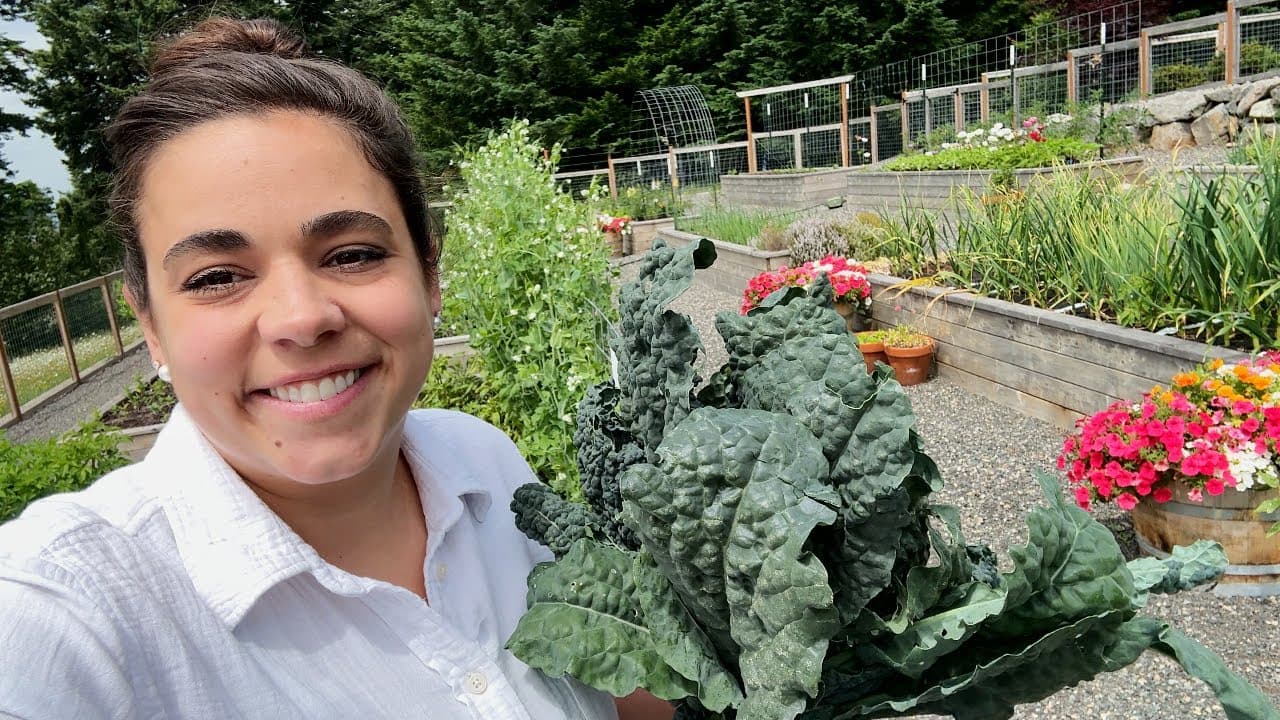 Cover Image for Youtube video: WE GOT the CHICKS!! Full June Garden Tour and Chicken Coop, Bee Update!