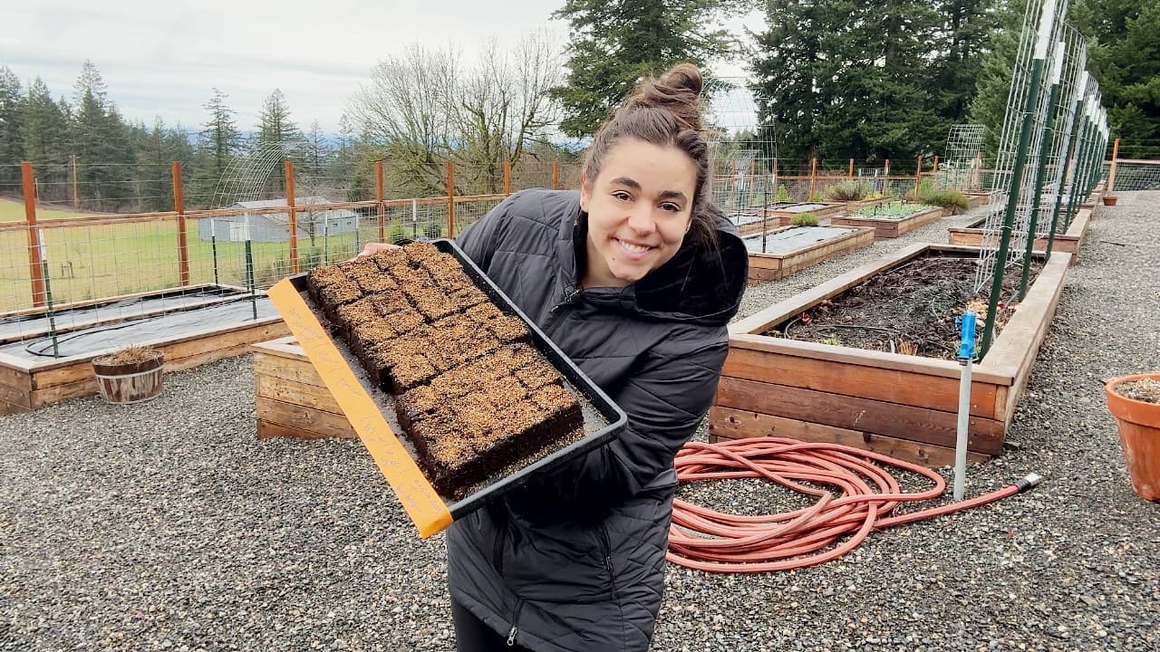 Cover Image for Youtube video: It all starts here! Growing a years worth of tomatoes and peppers!