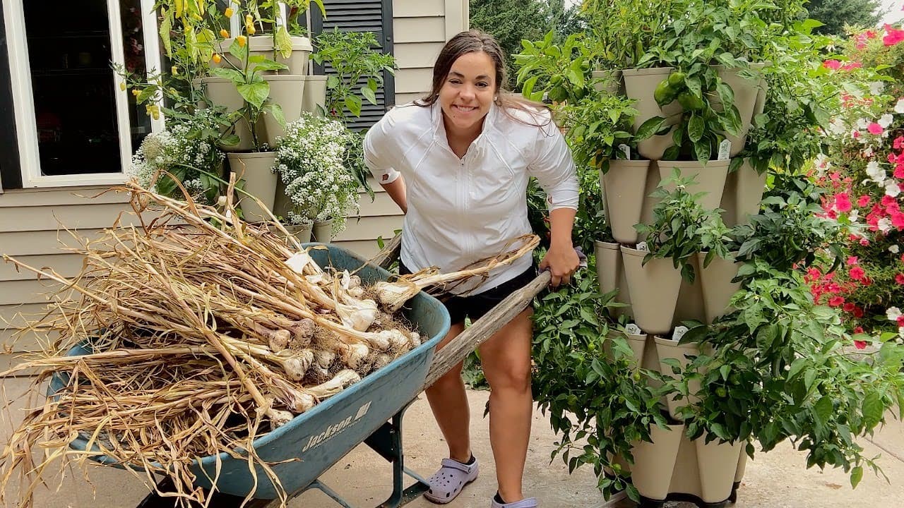 Cover Image for Youtube video: It's Time to Get it Done | Harvesting and Making a Simple Summer Dinner!