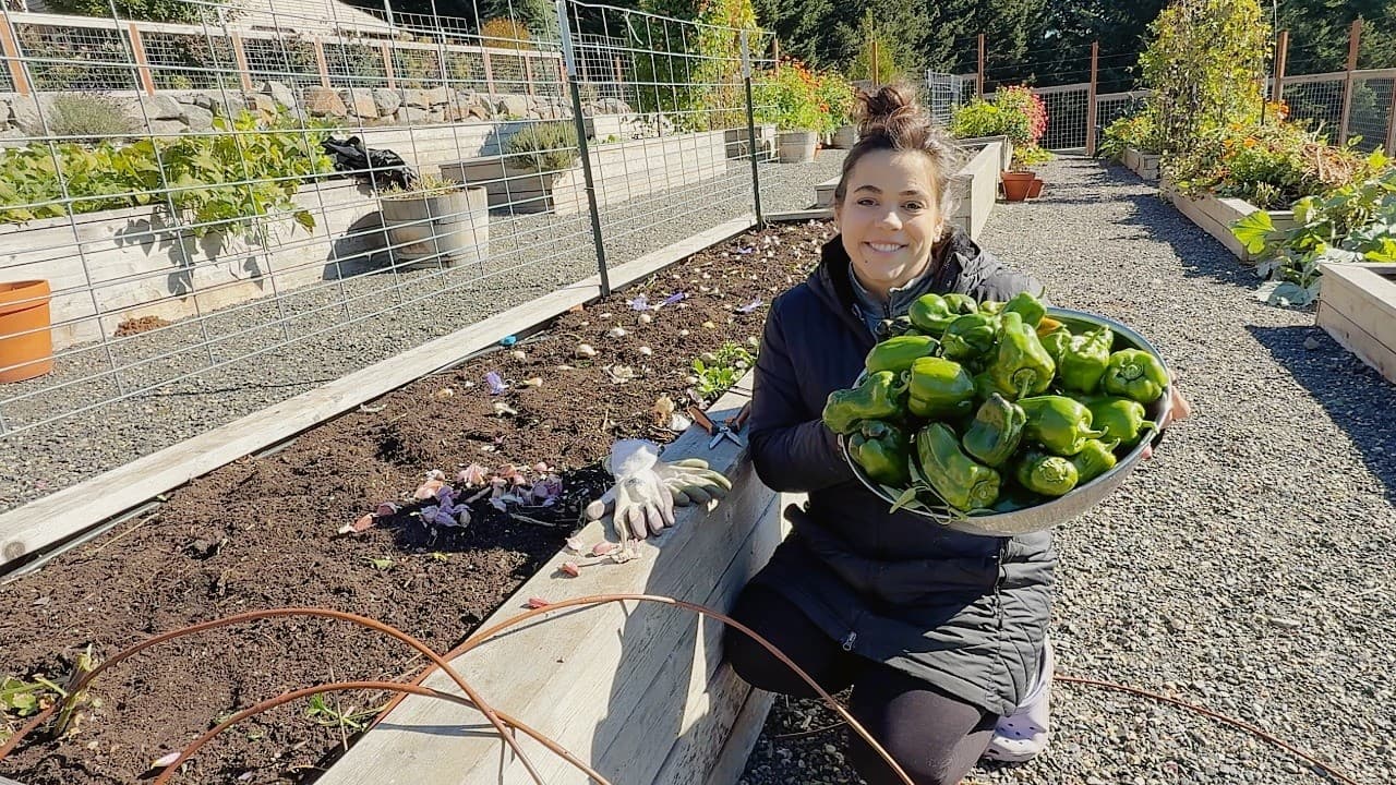 Cover Image for Youtube video: Just when you think it's over... we start again!! Starting 2026's Garden!